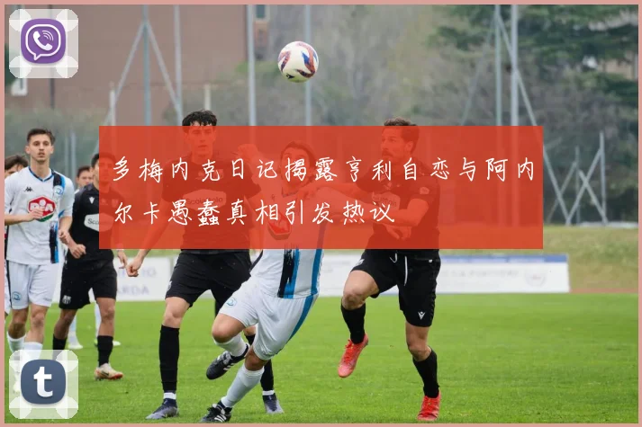 多梅内克日记揭露亨利自恋与阿内尔卡愚蠢真相引发热议