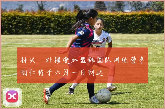孙兴慜朴镇燮加盟韩国队训练营李刚仁将于六月一日到达