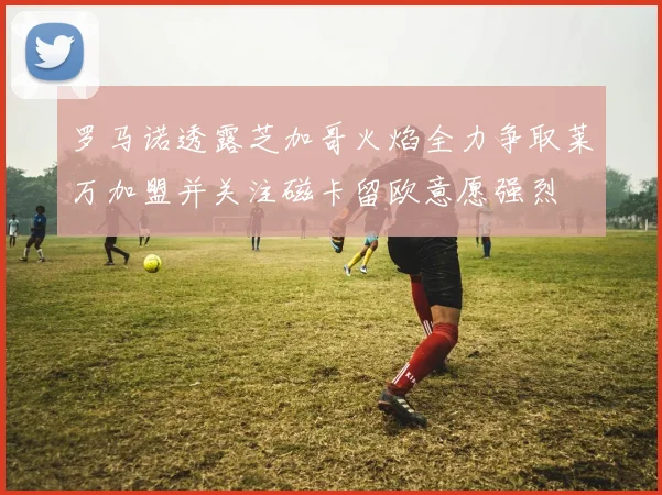 罗马诺透露芝加哥火焰全力争取莱万加盟并关注磁卡留欧意愿强烈